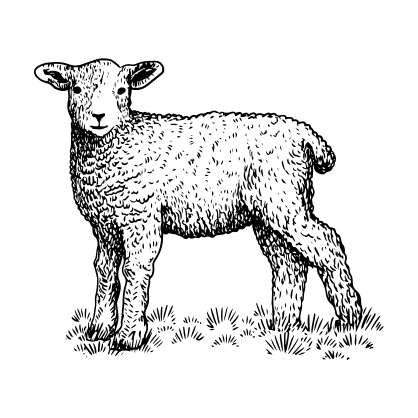 Agneau